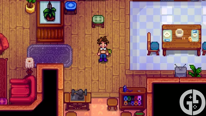 Image of the Orange Bow Shirt in Stardew Valley