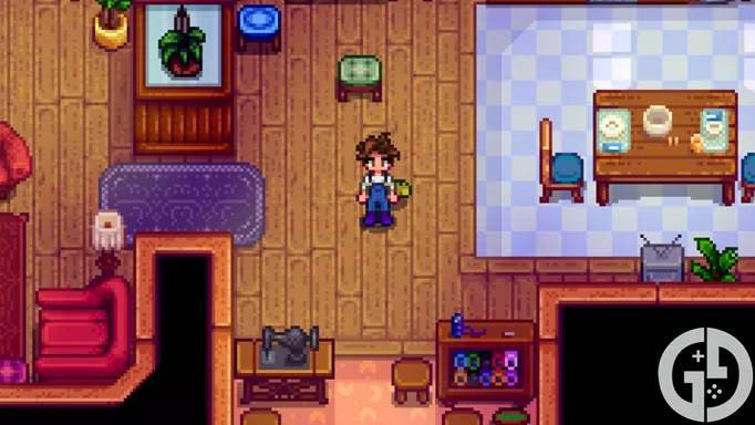 Image of the Plain Overalls in Stardew Valley