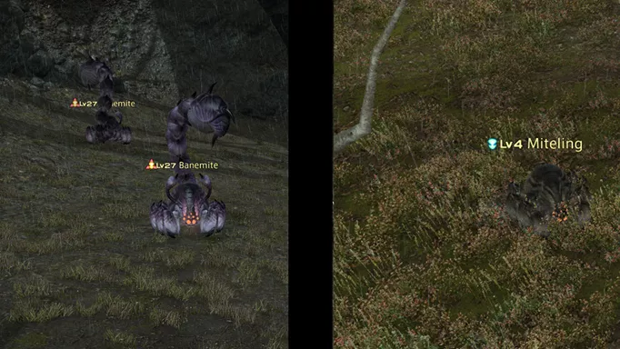 FFXIV Diremite Web drops from specific creatures in Eorzea