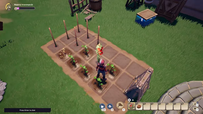 Screenshot showing planting tomato seeds in Palia: The best crop to grow for money