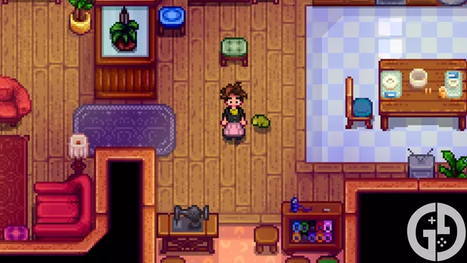 Image of the Long Dress in Stardew Valley