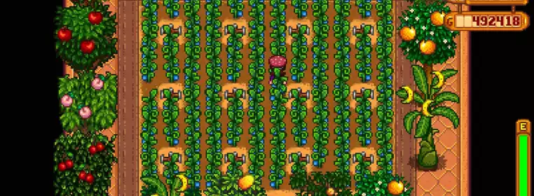 How to find Ancient Seeds & grow Ancient Fruit in Stardew Valley