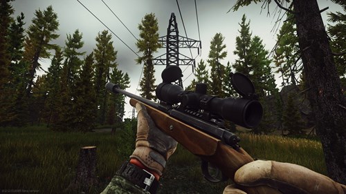 Escape From Tarkov Woods map: spots and high tier loot guide