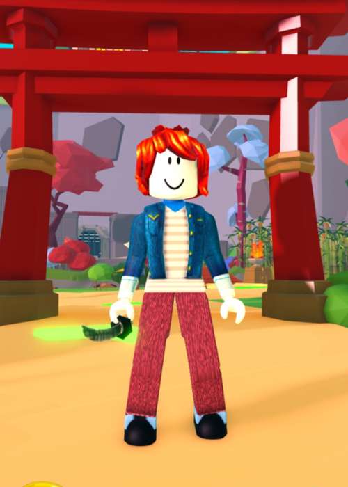 All active Katana Simulator codes to redeem for free Coins