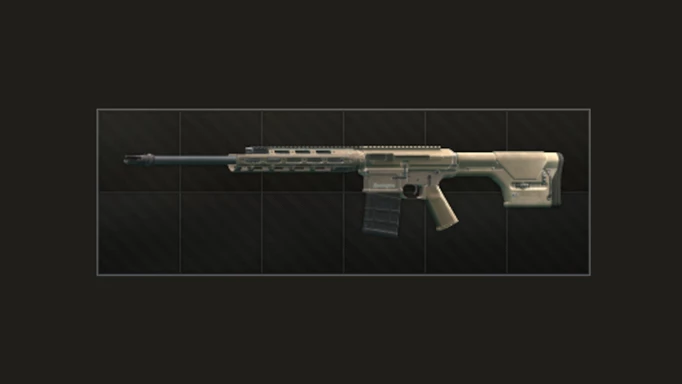 Image of the RSASS in Escape From Tarkov