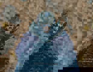 elden-ring-shadow-of-the-erdtree-ymir.jpg
