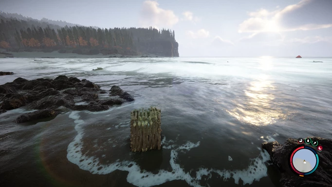Fish Traps in Sons of the Forest