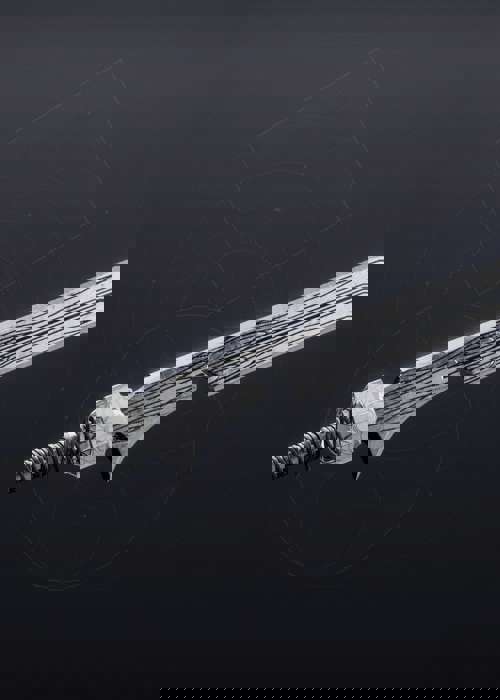 How to get Destiny 2's Ergo Sum Exotic Sword and all random perk rolls