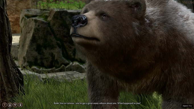 Image of Bosk the Bear in Baldur's Gate 3