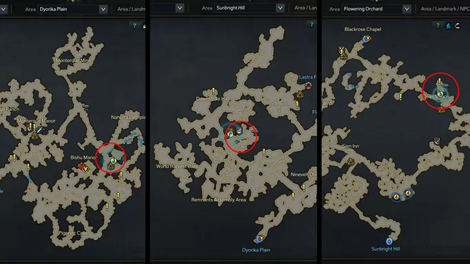 Every Wandering Merchant Location In Lost Ark
