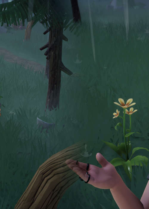 How to get Orange Star Lily in Disney Dreamlight Valley