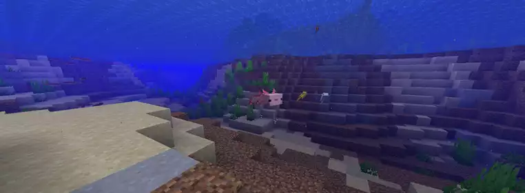 Minecraft Axolotl Finding, Taming, And Breeding Guide