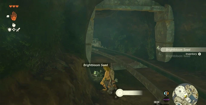 an image of Brightbloom Seeds in Zelda Tears of the Kingdom