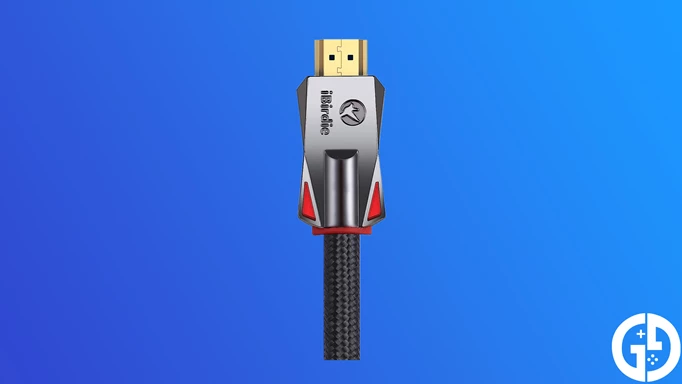 The iBirdie HDMI cable
