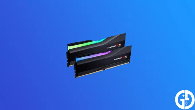 an image of the GIGASTONE Black RGB RAM