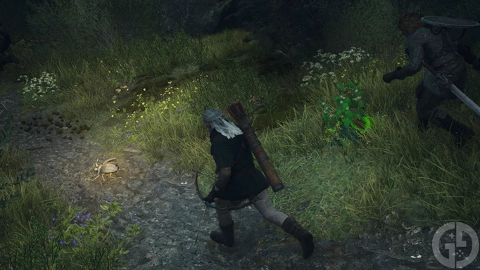Image of a Golden Trove Beetle in Dragon's Dogma 2