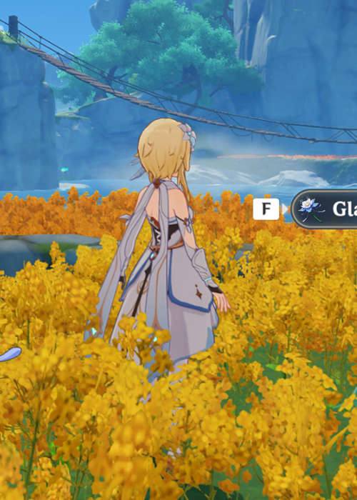 How to find Glaze Lilies in Genshin Impact