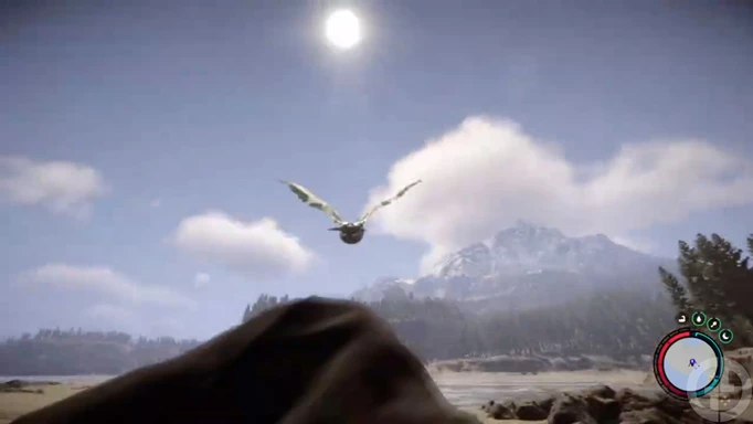 Image of a seagull from Sons of the Forest flying away from the player