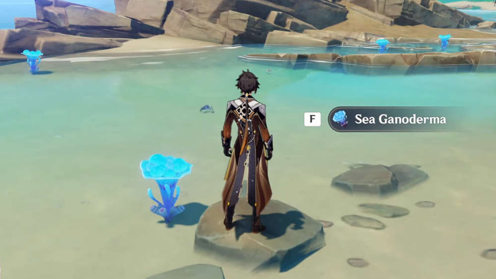 How to find a Sea Ganoderma in Genshin Impact