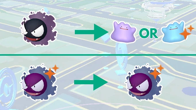 how shiny ditto works in pokemon go
