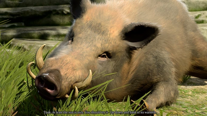 Image of talking to Tusk the boar in Baldur's Gate 3
