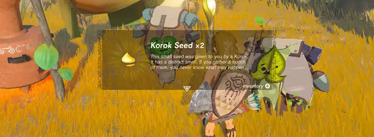 Where are the Korok Seeds in the Great Sky Island in Zelda: Tears of the Kingdom