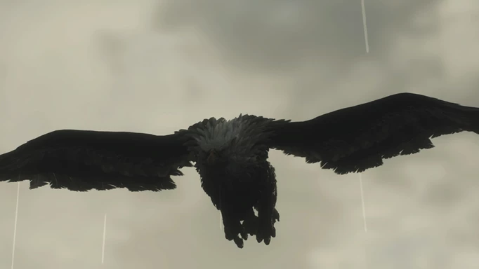 dragons dogma 2 griffin
