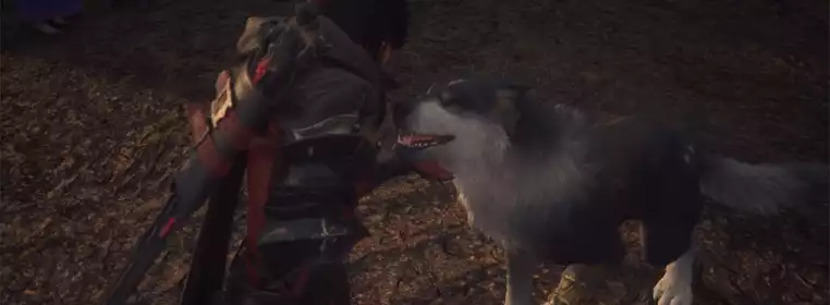 How to pet & interact with Torgal in Final Fantasy 16