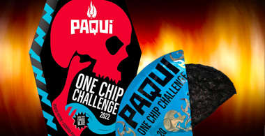 one-chip.jpg