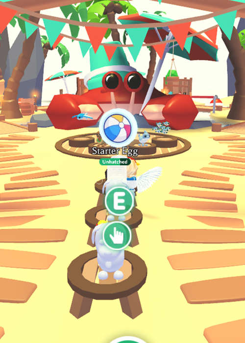 How to get Beach Balls in Adopt Me!