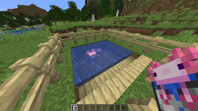 Minecraft axolotls: How to tame them