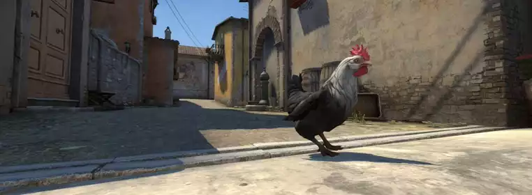 Psychic Chickens Are Opening Rare CS:GO Crates