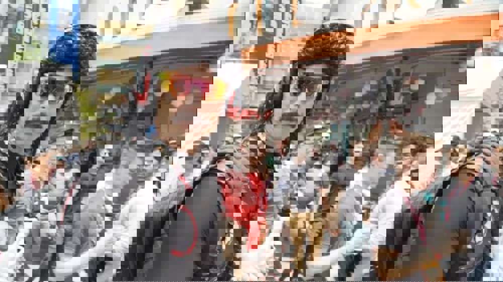 ccccjpg.jpg