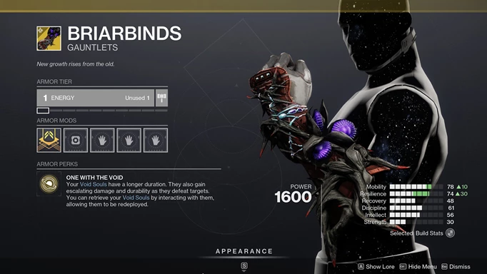 The new Briarbinds exotic for Warlocks in Destiny 2