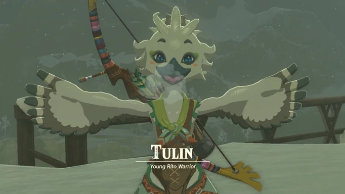 Image shows Tulin from The Legend of Zelda: Tears of the Kingdom. It describes him as being a Young Rito Warrior and he carries a bow on his back