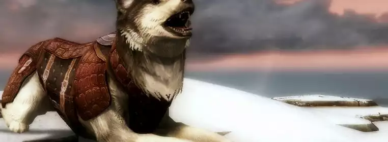 You Can Finally Pet The Dog In Skyrim