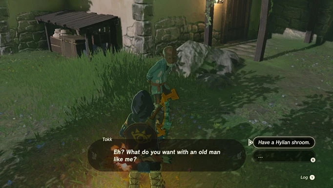 Tokk in Zelda: Tears of the Kingdom