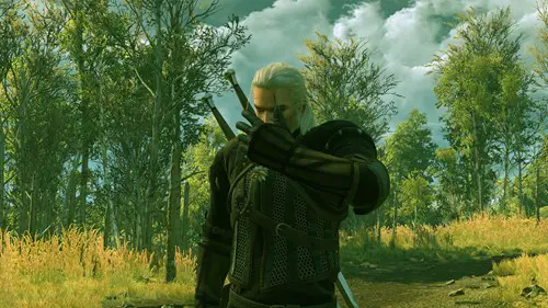 The Witcher Farting Geralt