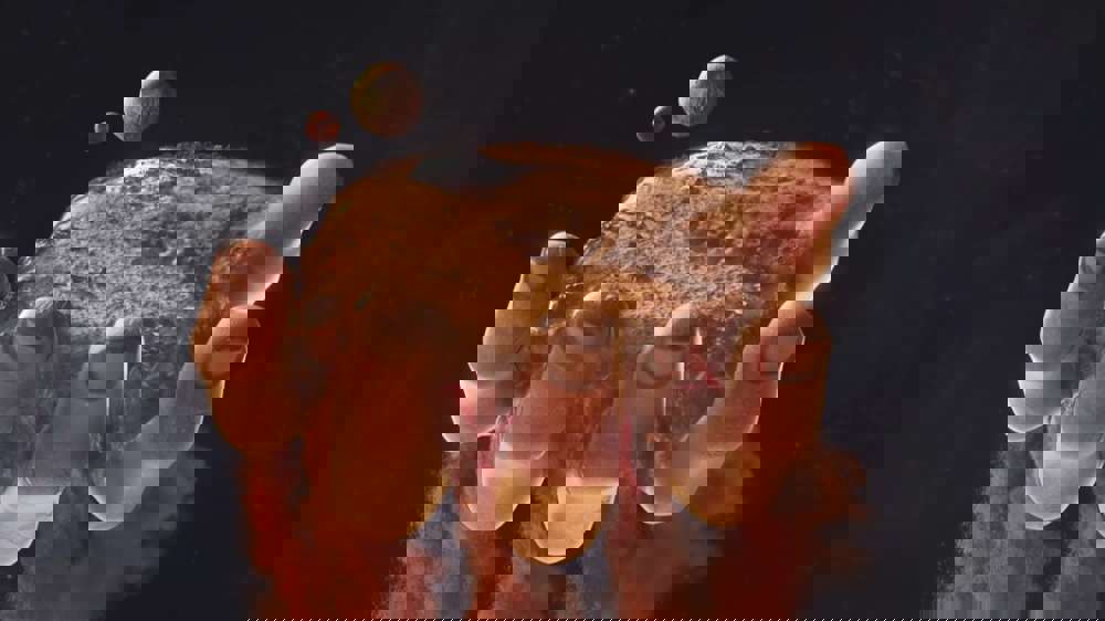 Dune Spice Wars: Release date, gameplay, trailers & more