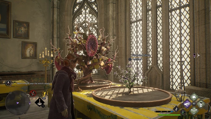 Fluxweed growing in Hogwarts Legacy