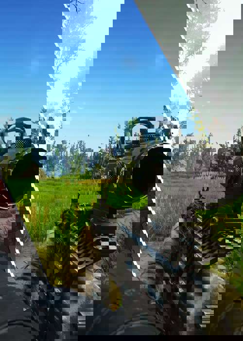 Games Like Escape From Tarkov