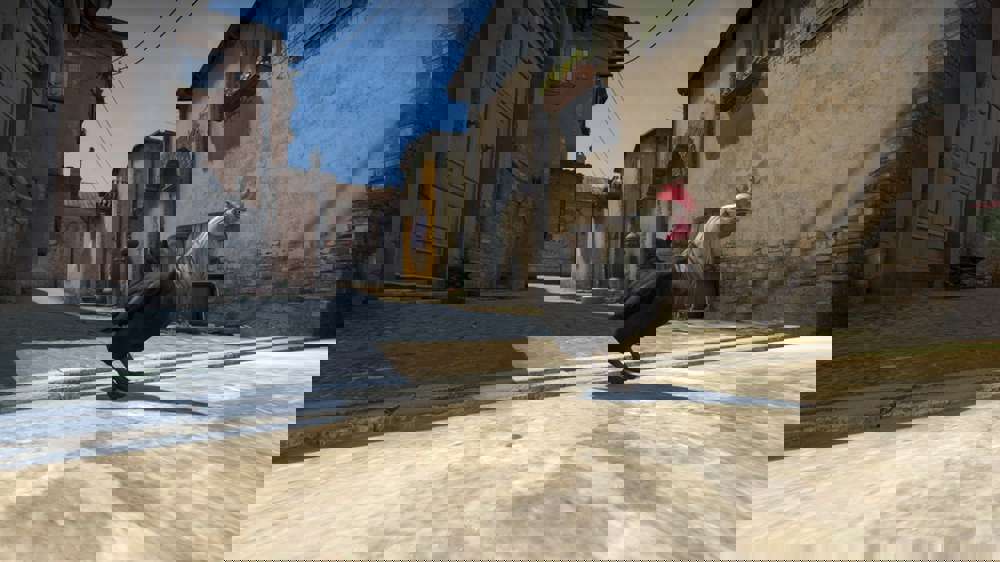 csgo-chicken.jpg