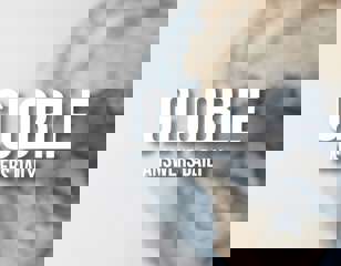globle-header.jpg