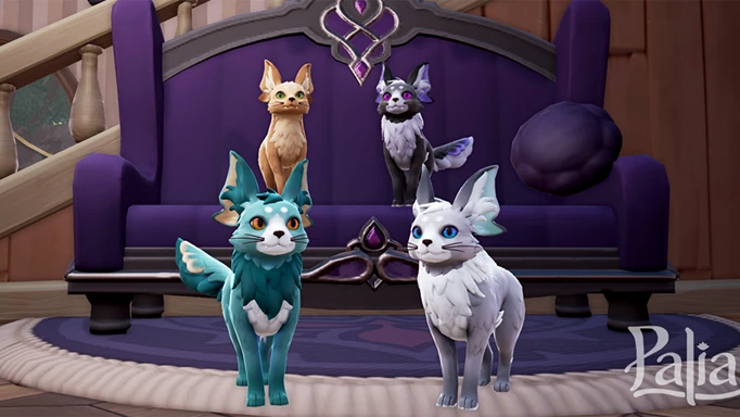 Palia promo image of the Palcat pet in different colours