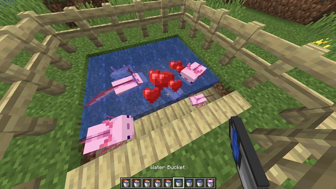 Minecraft axolotls: How to breed them