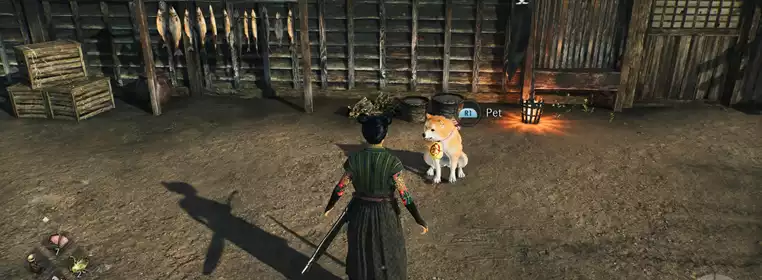 How to check Pilgrim Dogs' progress in Rise of the Ronin