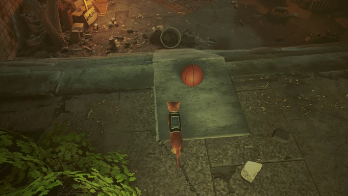 Basketball location in Stray