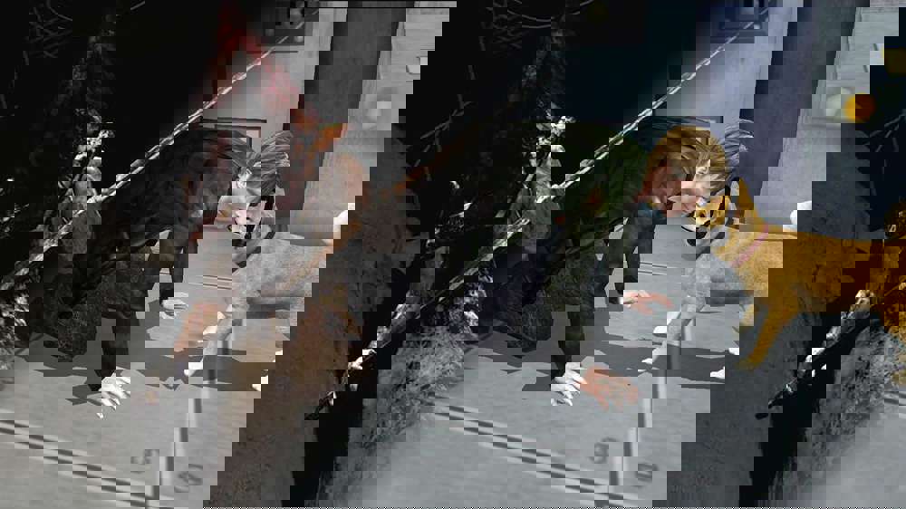 silent-hill-return.jpg