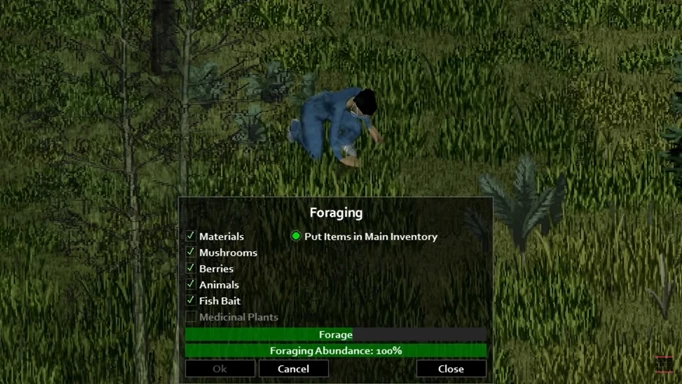 Project Zomboid foraging