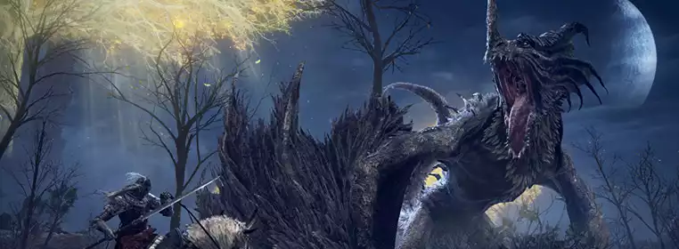 Elden Ring Gameplay Leak Shows 27 Seconds Of The New Game